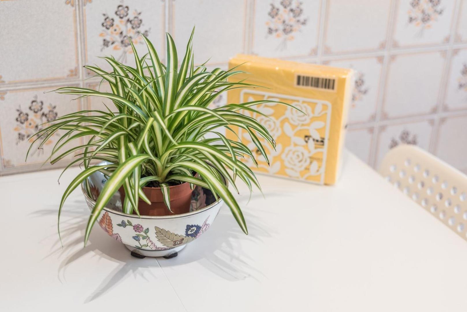 Guestready - Eclectic Haven In The Heart Of Porto Leilighet Eksteriør bilde